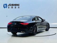 Mercedes-Benz CLS 300 Version - ფოტო 3