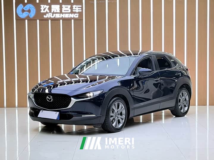 Tank CX-30 2.0L Version - ავტომობილი ჩინეთიდან