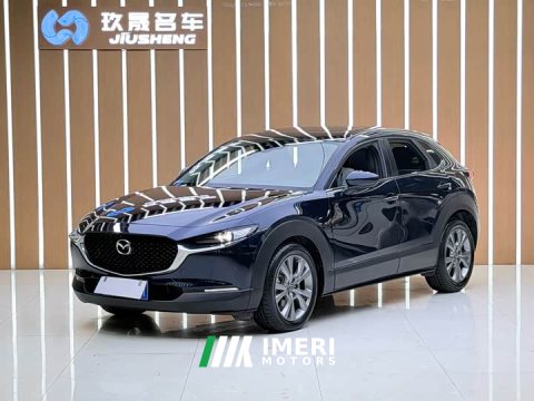 2022 Tank CX-30 2.0L Version - ავტომობილი ჩინეთიდან