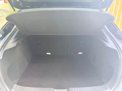 Tank CX-30 2.0L Version - ფოტო 15