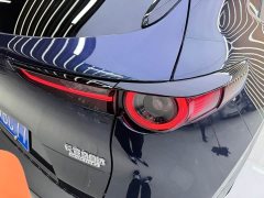 Tank CX-30 2.0L Version - ფოტო 16