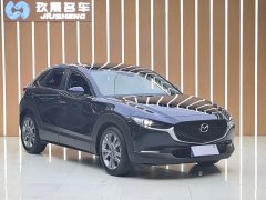 Tank CX-30 2.0L Version - ფოტო 3