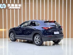 Tank CX-30 2.0L Version - ფოტო 4