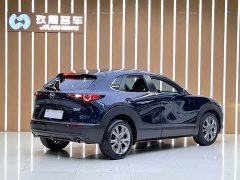 Tank CX-30 2.0L Version - ფოტო 6
