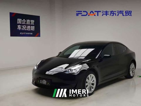 2021 Tesla Model 3 Standard Range Edition 3D6 - ავტომობილი ჩინეთიდან