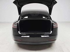 Tesla Model 3 Standard Range Edition 3D6 - ფოტო 10