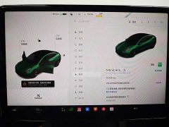 Tesla Model 3 Standard Range Edition 3D6 - ფოტო 14