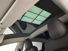 Tesla Model 3 Standard Range Edition 3D6 - ფოტო 16