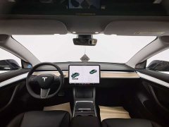 Tesla Model 3 Standard Range Edition 3D6 - ფოტო 18