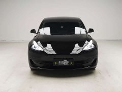 Tesla Model 3 Standard Range Edition 3D6 - ფოტო 2