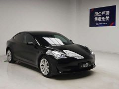 Tesla Model 3 Standard Range Edition 3D6 - ფოტო 3