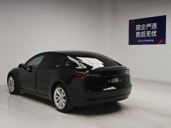 Tesla Model 3 Standard Range Edition 3D6 - ფოტო 6