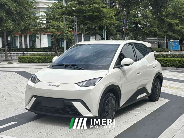 BYD Edition - ავტომობილი ჩინეთიდან