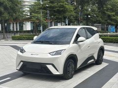 BYD Edition - ფოტო 1