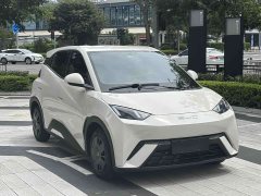 BYD Edition - ფოტო 3