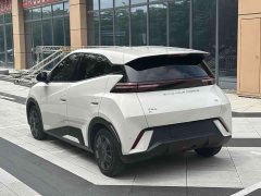 BYD Edition - ფოტო 4