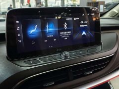 Buick GL8 652T Luxury Version - ფოტო 14