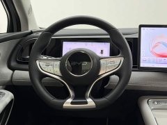 BMW 05 EV 520KM Edition - ფოტო 10