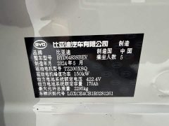 BYD PLUS Edition EV 520km Premium Version - ფოტო 11