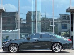 Mercedes-Benz CLS 300 Version - ფოტო 3