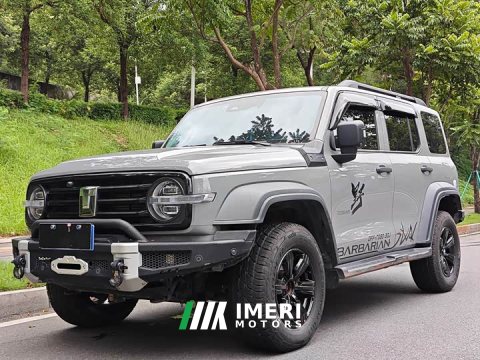 2022 Tank 300 Off-Road Edition 2.0T - ავტომობილი ჩინეთიდან