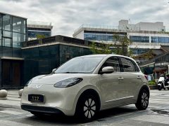 Wuling 333km - ფოტო 1