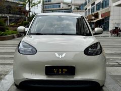 Wuling 333km - ფოტო 2