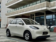 Wuling 333km - ფოტო 3