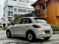 Wuling 333km - ფოტო 6
