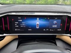 Geely L 1.5TD DCTPremium Edition - ფოტო 10