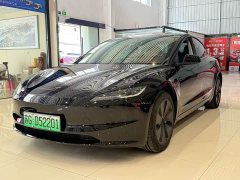 Tesla Model 3 Edition - ფოტო 1