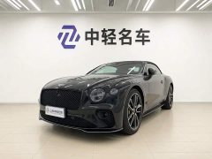 Volkswagen 4.0T GT V8 Mulliner 20 Edition - photo 1