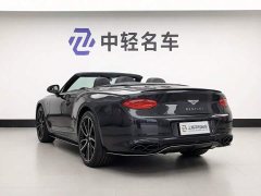 Volkswagen 4.0T GT V8 Mulliner 20 Edition - photo 2