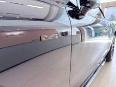 Volkswagen 4.0T GT V8 Mulliner 20 Edition - photo 5