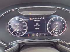 Volkswagen 4.0T GT V8 Mulliner 20 Edition - photo 6