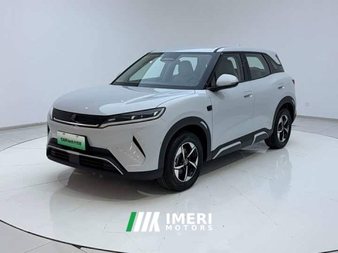 2026 BYD UP Smart Drive Edition 401KM Version - ავტომობილი ჩინეთიდან