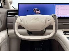 BYD LS6 EV Max - ფოტო 14