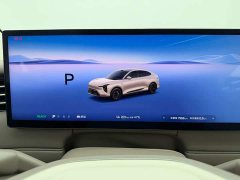 BYD LS6 EV Max - ფოტო 15