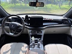 BYD PLUS Edition DM-i 55KM Version - ფოტო 18