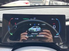 BYD PLUS Edition DM-i 55KM Version - ფოტო 19