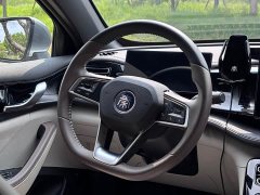 BYD PLUS Edition DM-i 55KM Version - ფოტო 20