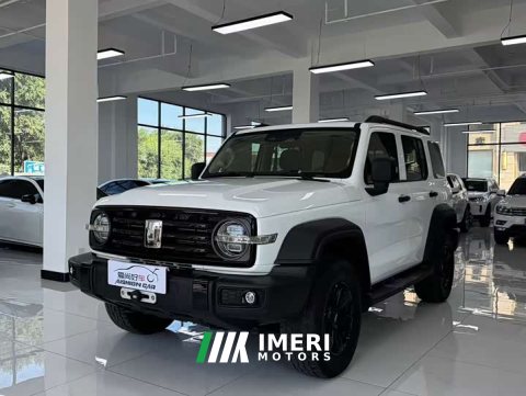 2021 Tank 300 Off-Road Edition 2.0T - ავტომობილი ჩინეთიდან