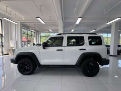 Tank 300 Off-Road Edition 2.0T - ფოტო 4