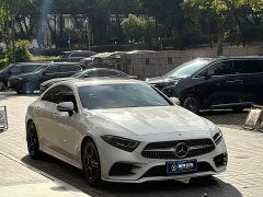 Mercedes-Benz CLS 300 Luxury Version - ფოტო 3