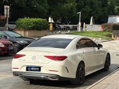 Mercedes-Benz CLS 300 Luxury Version - ფოტო 5