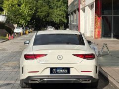 Mercedes-Benz CLS 300 Luxury Version - ფოტო 6