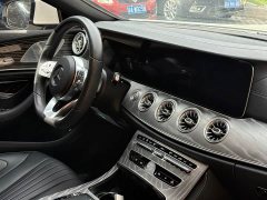 Mercedes-Benz CLS 300 Luxury Version - ფოტო 8