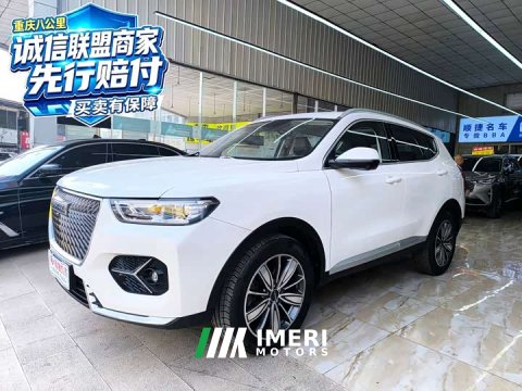 2021 Haval H6 2.0GDIT Edition - ავტომობილი ჩინეთიდან