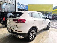 Haval H6 2.0GDIT Edition - ფოტო 11