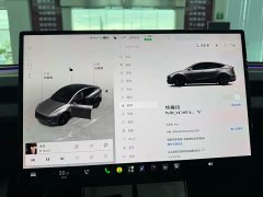 Tesla Model Y Edition - ფოტო 14